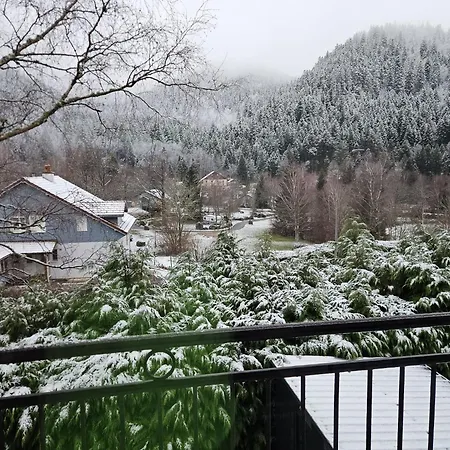 T'choupette Des Vosges * La Bresse