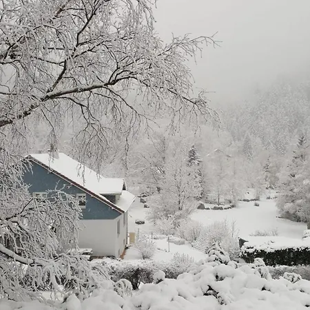 T'choupette Des Vosges * La Bresse