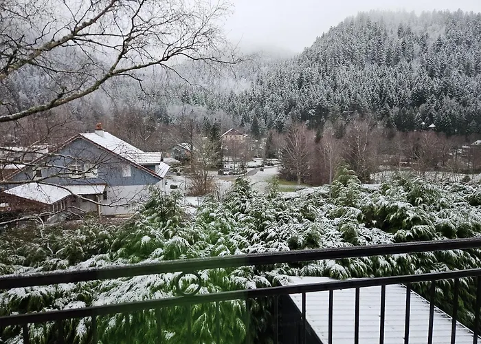 T'choupette Des Vosges * La Bresse