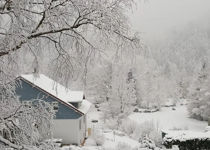 T'choupette Des Vosges * La Bresse