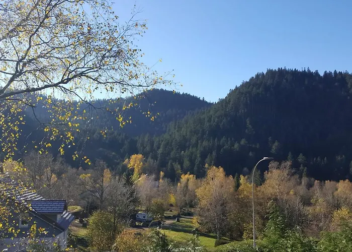 Σαλέ T'choupette Des Vosges *